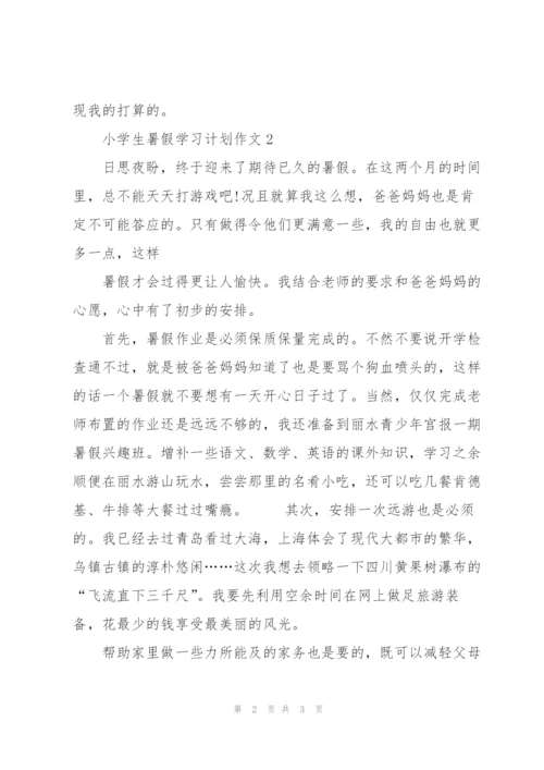 小学生暑假学习计划作文4篇.docx