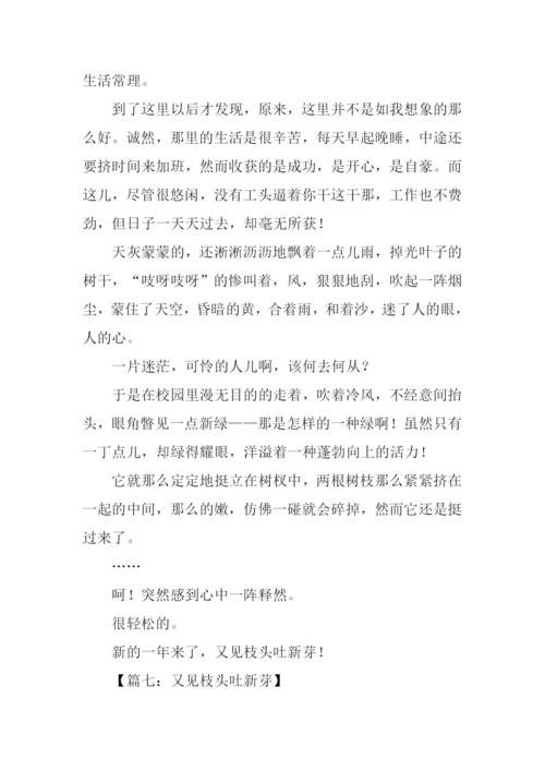 又见枝头吐新芽作文500字.docx