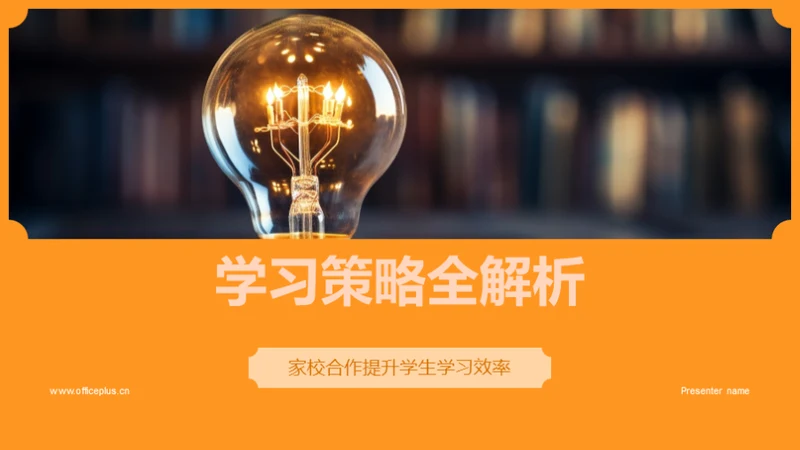 学习策略全解析