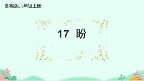 第17课 盼  课件