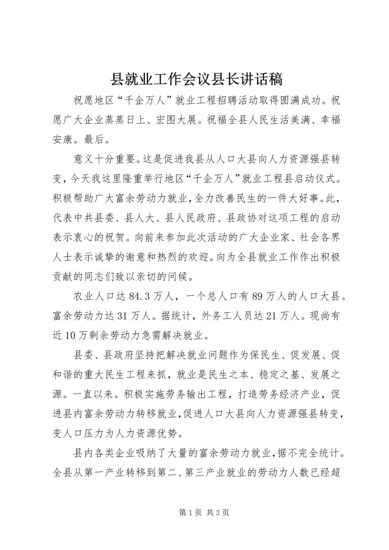 县就业工作会议县长讲话稿.docx