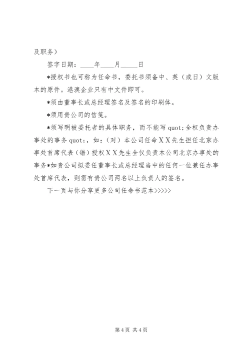 公司任命书格式参考范本13篇.docx