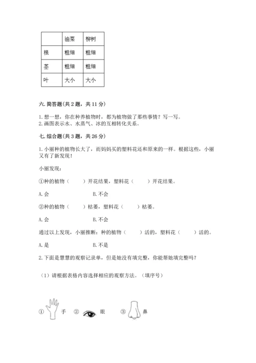 教科版科学一年级上册第一单元《植物》测试卷及完整答案1套.docx