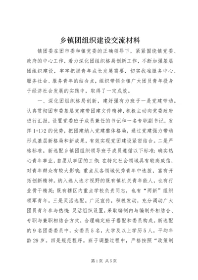 乡镇团组织建设交流材料.docx