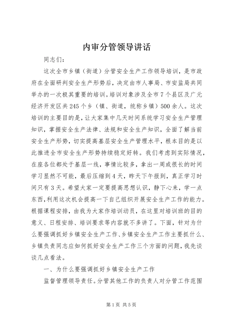 内审分管领导讲话 (2).docx