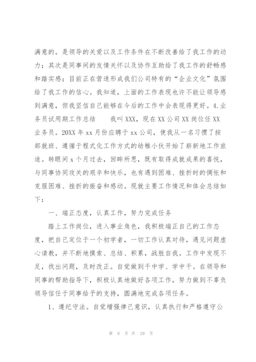 业务员试用期工作总结10篇.docx