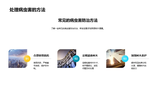 树之使命