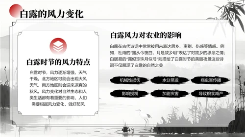 黑白色中国风白露节气学校主题班会PPT模板