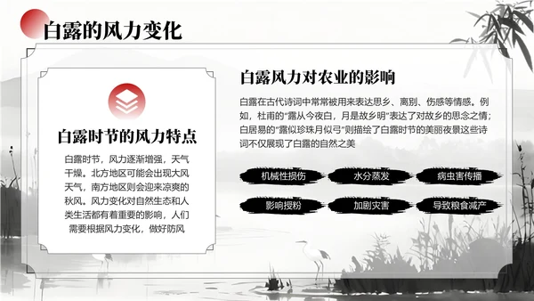 黑白色中国风白露节气学校主题班会PPT模板
