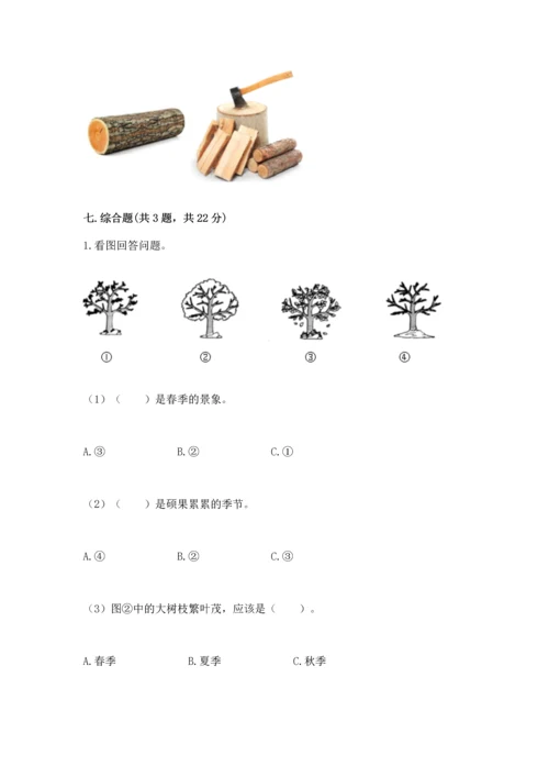 教科版科学二年级上册《期末测试卷》附答案（实用）.docx