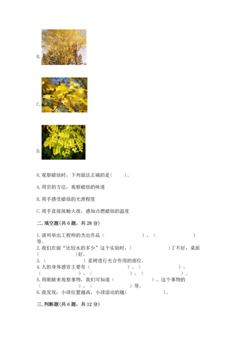 苏教版一年级上册科学期末测试卷及一套答案.docx