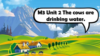 Module3 Unit2 The cows are drinking water 课件(共31张P