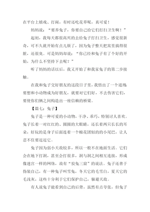 兔子的作文0.docx