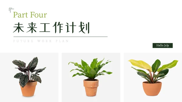 七月你好芭蕉叶背景通用PPT模板