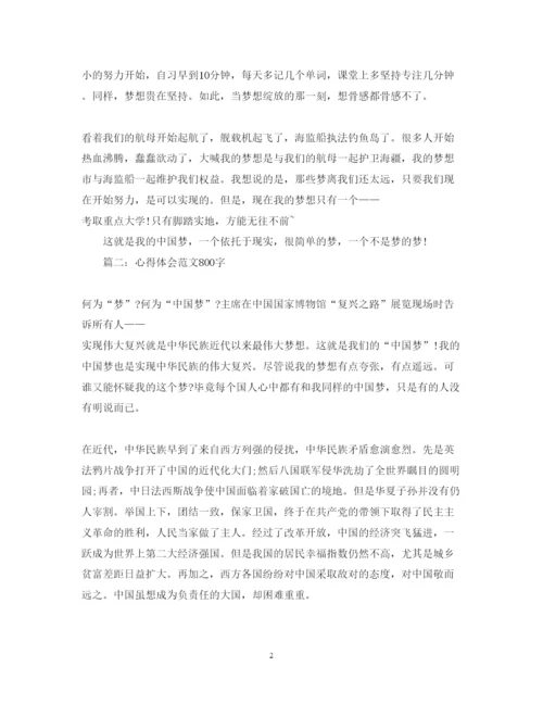 精编心得体会范文800字中国梦.docx