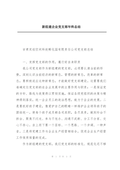 新组建企业党支部年终总结.docx