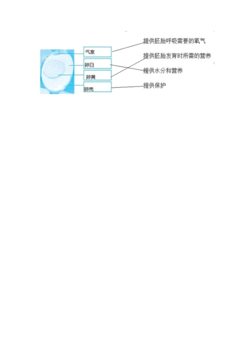 教科版小学科学三年级下册期末测试卷【网校专用】.docx