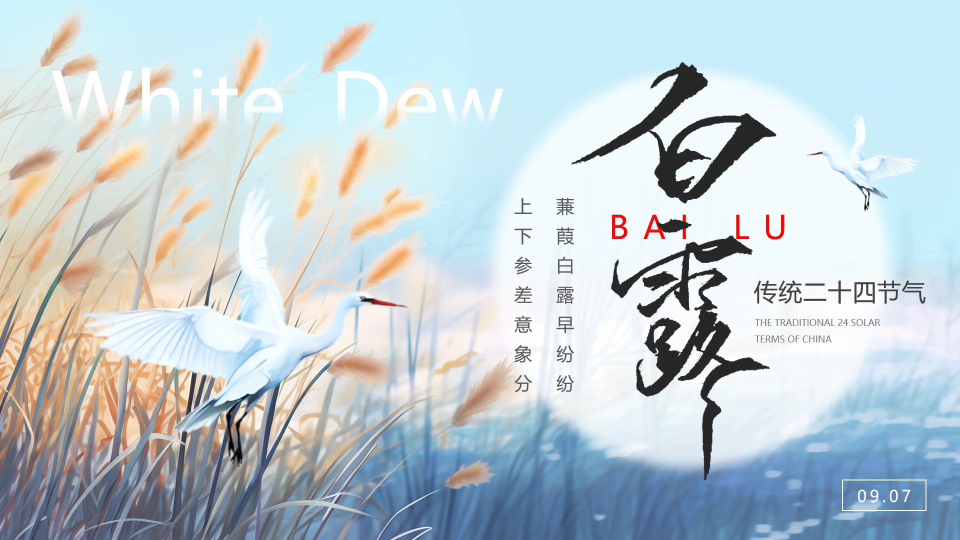 传统二十四节气白露节气介绍节气知识宣传科普PPT