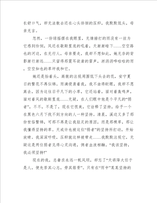 最新坚强心得体会作文随笔