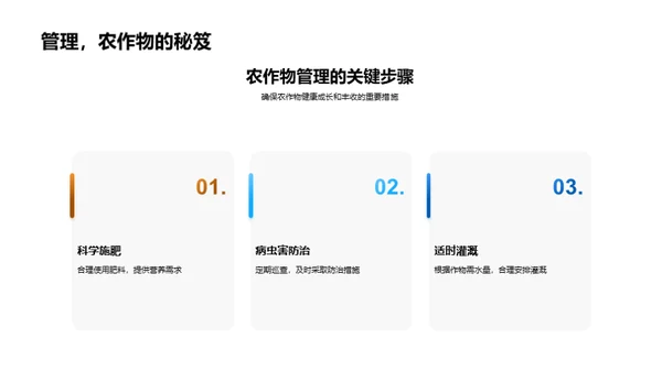 大暑季农耕指南