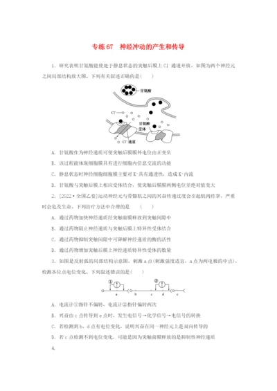 2023版新教材高考生物 微专题小练习 专练67 神经冲动的产生和传导.docx