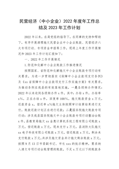 【工作总结】民营经济局2022年度年工作总结及2023年工作计划.docx