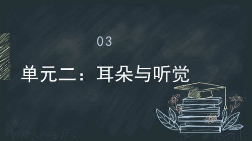 3《口耳目手足》课件