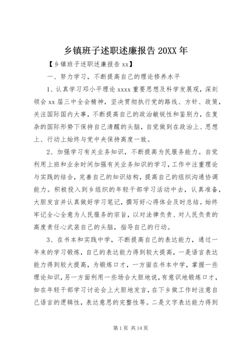 乡镇班子述职述廉报告某年.docx