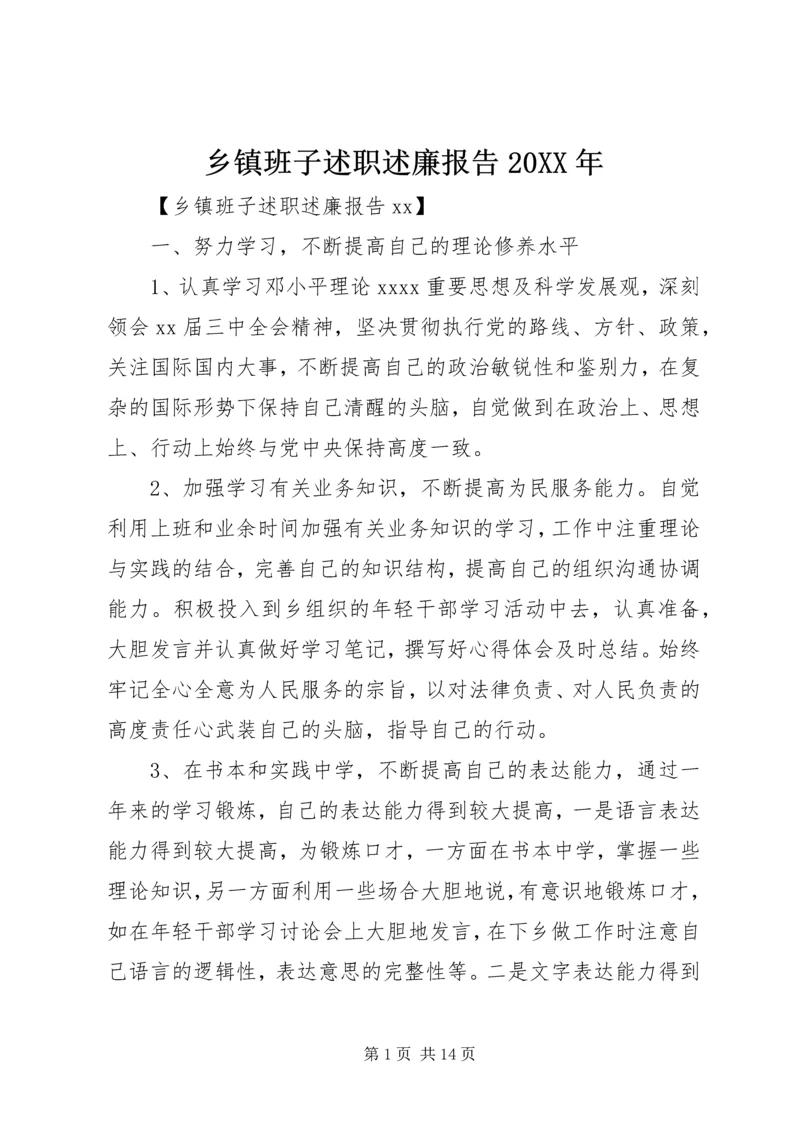 乡镇班子述职述廉报告某年.docx