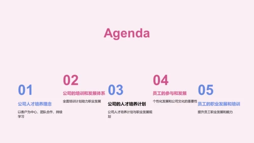 IT互联网公司人才培养计划