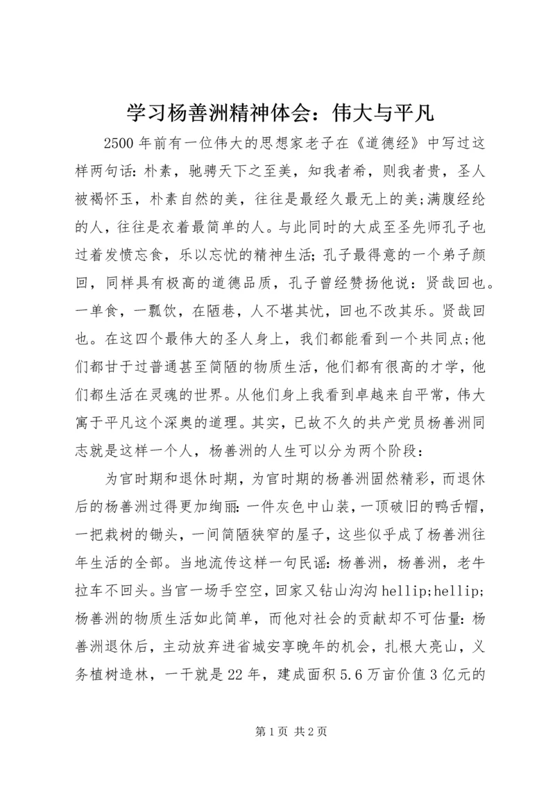 学习杨善洲精神体会:伟大与平凡.docx