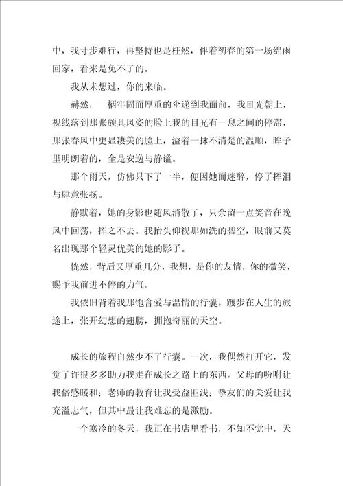 我的行囊作文