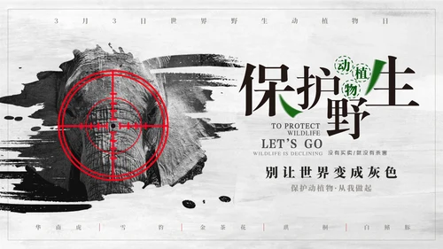 保护野生动植物大象PT模板