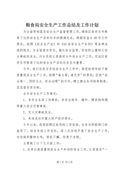 粮食局安全生产工作总结及工作计划.docx