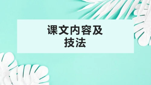 第一单元 复习课件(共75张PPT)