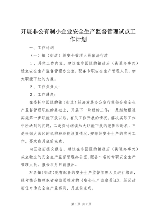 开展非公有制小企业安全生产监督管理试点工作计划 (6).docx