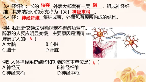 第四单元第五、六章复习课件(共33张PPT)人教版七年级下册