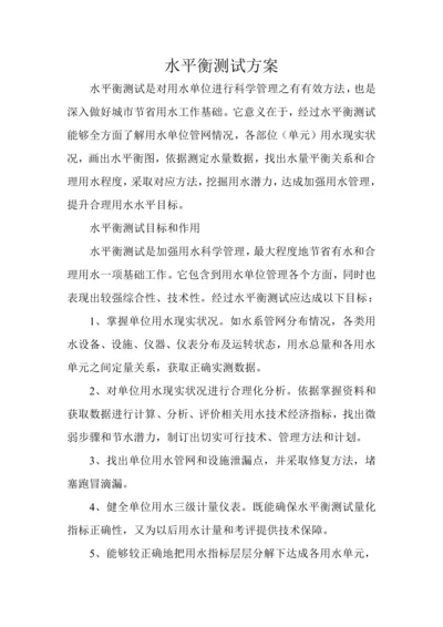 水平衡测试专项方案.docx