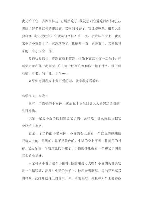 小学作文：写物.docx