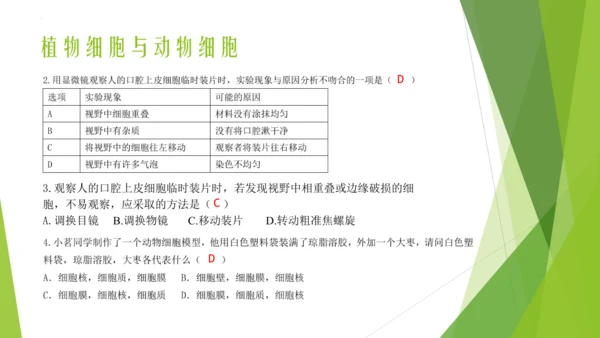 人教版七年级生物上册第一章认识生物第二章认识细胞复习课件(共23张PPT)