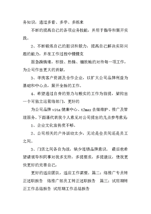 网络销售试用期工作总结
