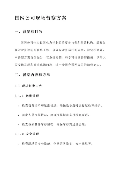 国网公司现场督察方案