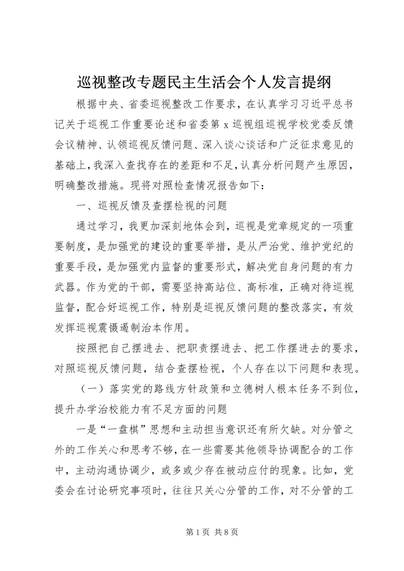 巡视整改专题民主生活会个人发言提纲 (2).docx