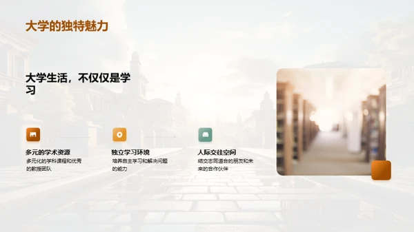 解析学历教育之路