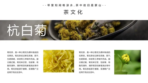 中国传统茶文化茶艺宣传PPT模板