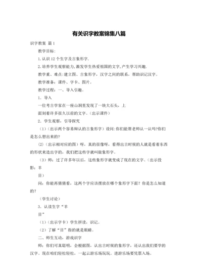 有关识字教案锦集八篇.docx