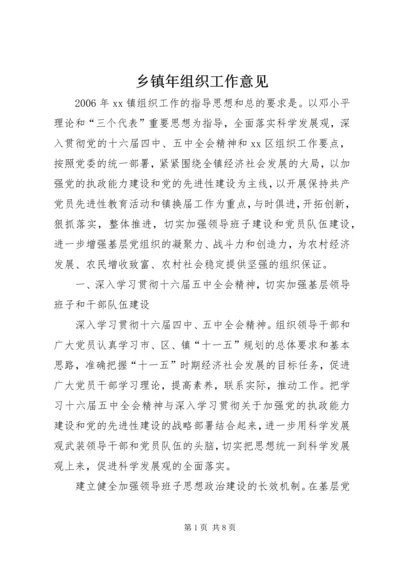 乡镇年组织工作意见.docx