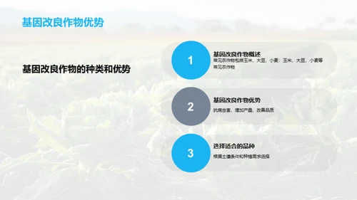 生物技术在农业中的应用