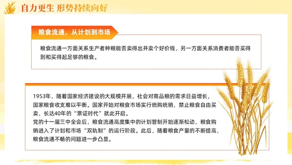 大学生形势与政策保障粮食安全的中国策ppt课件党建