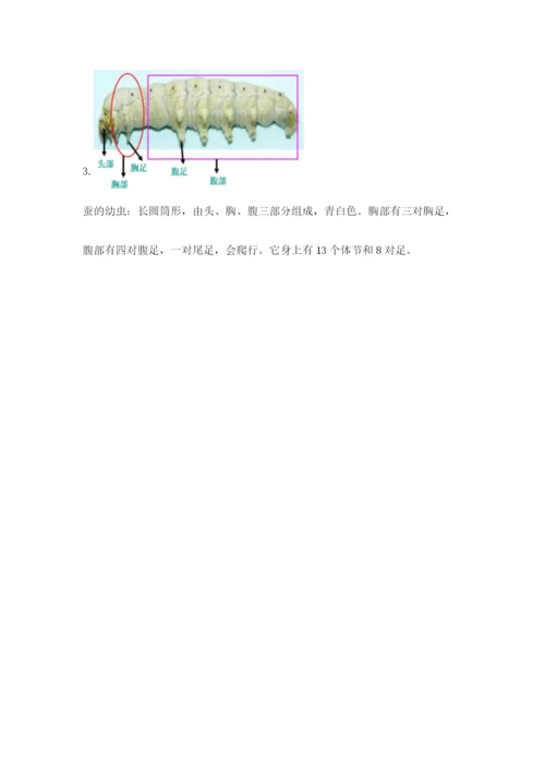 教科版科学三年级下册期末测试卷及参考答案（培优b卷）.docx